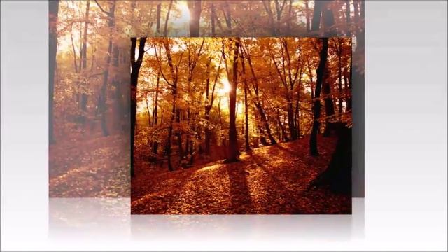 осенняя рапсодия смотреть онлайн