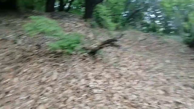 21.05.21. Покос травы.(2 часть) Отчёт для заказчика. Заявки по тел:+79241232444Владимир Стороженко смотреть онлайн