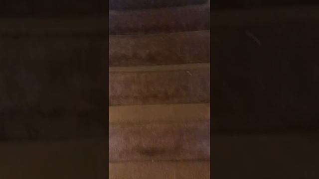 Fort Polk (on base) Military housing 2019 смотреть онлайн