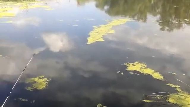 Сон на рыбалки смотреть онлайн