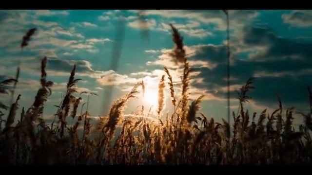 ගීතාවලිය55//Psalm 55// Geethawaliya 55//පීඩනයේ දී යැදුම смотреть онлайн