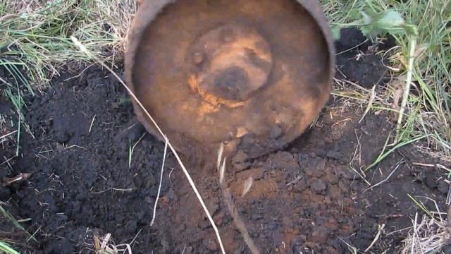 Укусила змея на копе БУДЬТЕ ОСТОРОЖНЕЕ смотреть онлайн