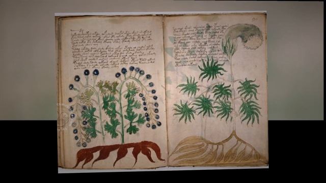 Загадочные и порой мистические факты#Знаете ли Вы, что ؟ смотреть онлайн