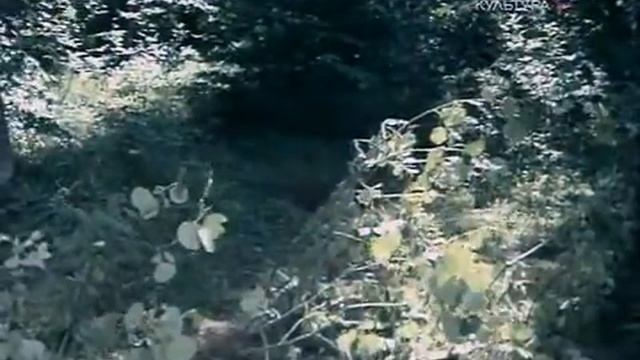 Андрей и злой чародей смотреть онлайн