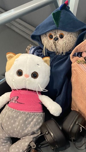 Летим с басиком и Лили в самолёте (первое видео)