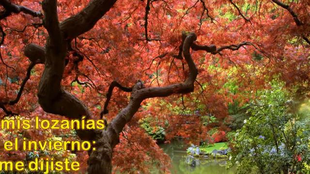 "EN PAZ" de Amado Nervo (Con letra) - Música "What a wonderful world" Louis Armstrong смотреть онлайн