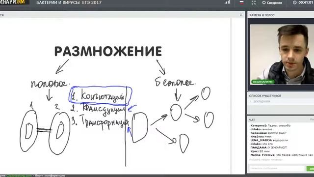Вируськи и бактерии смотреть онлайн
