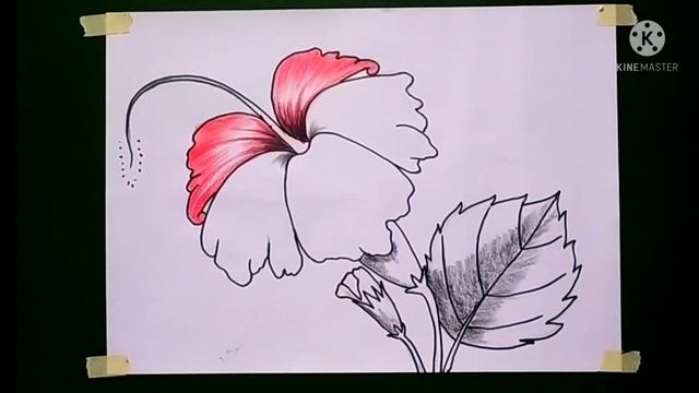 How To Draw A Easy china Rose (Hibiscus) смотреть онлайн