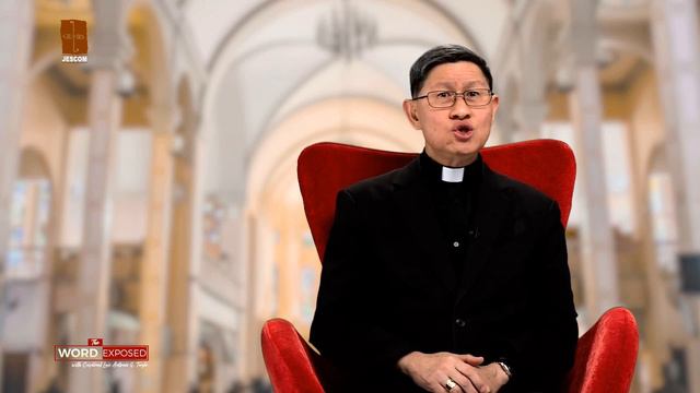 San Martin de Porres - Faith Exposed with Cardinal Tagle смотреть онлайн