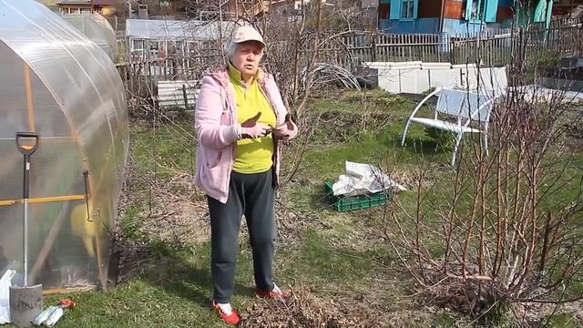 129 Древовидный пион смотреть онлайн