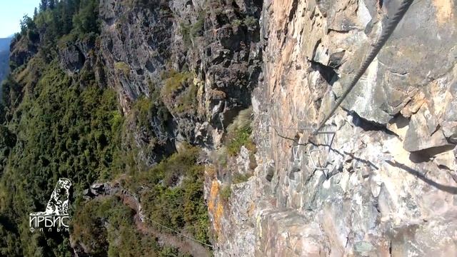 Горный Алтай и Алтайcкий край 2021 Дракон Виа Феррата. Лестница в небо! Экстремальный отдых Манжеро смотреть онлайн