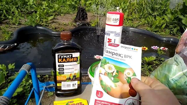 Средства для помощи растениям.Ржавчина. #гумат,#органическиеудобрения,#минеральныеудобрения,#огород смотреть онлайн