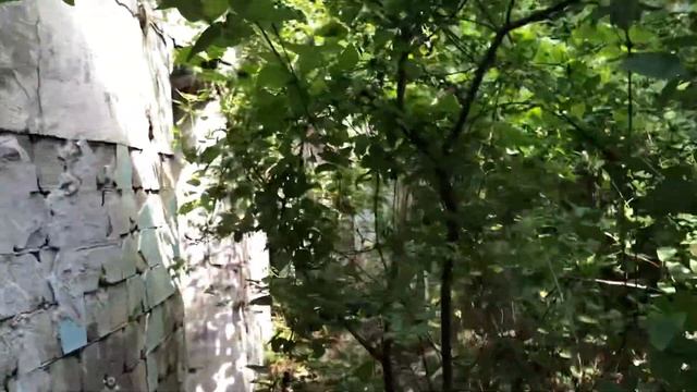 Заброшенная дача Суворина в Ольгинке смотреть онлайн