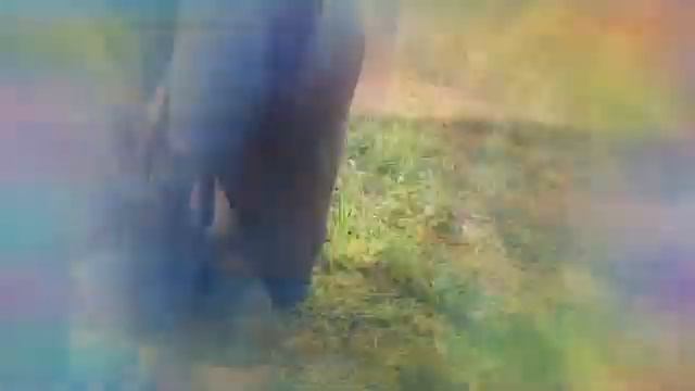 Очень быстрое видео (часть 3) смотреть онлайн