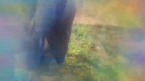 Очень быстрое видео (часть 3)