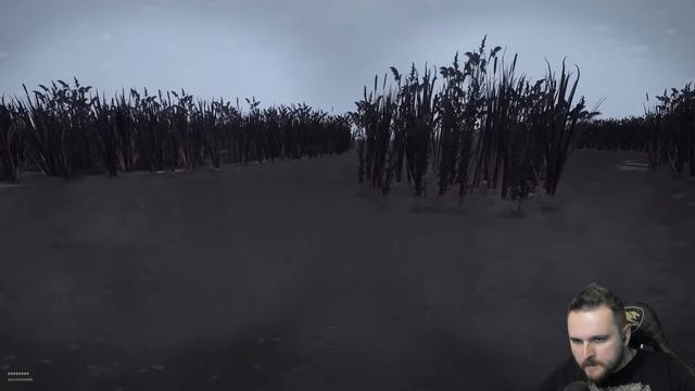 S.T.A.L.K.E.R. Dead Air Survival (8) ► Путь на Свалку смотреть онлайн