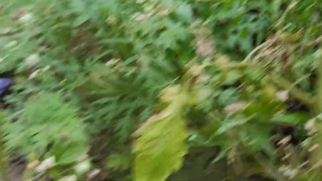 1 :) #Smile #Share #Support paypal.me/shivsuryasurya 7385533704@upi GPay: +917385533704 смотреть онлайн