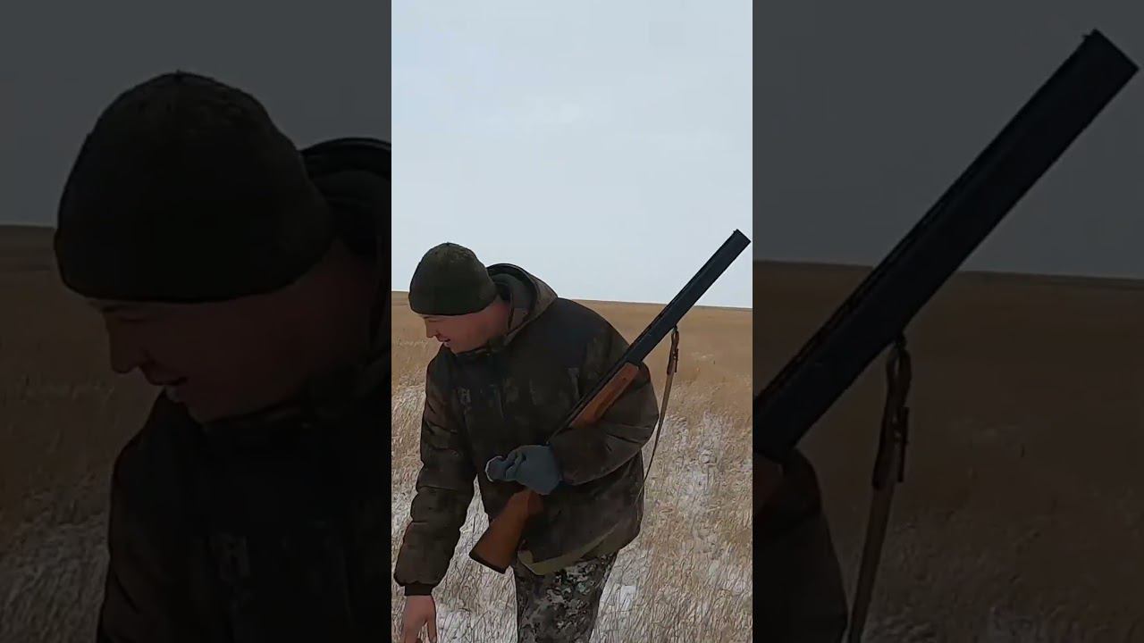 Дуплет по зайцу с двух ружей) Взяли моего зайца)) #охота #охотаназайца смотреть онлайн