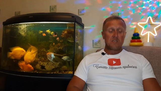Восточная сказка "История суманского султана и врача Дубана" смотреть онлайн
