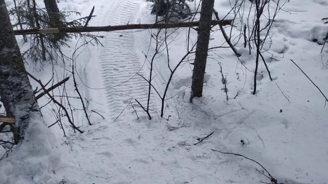 петля на волка. смотреть онлайн