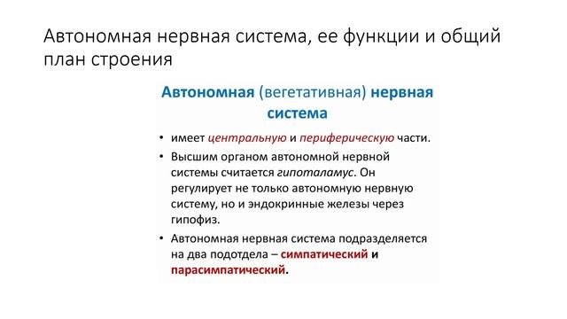 Экзамен по физиологии | Дополнительные вопросы. НЕРВНАЯ СИСТЕМА. ЭНДОКРИННАЯ СИСТЕМА. ВНД смотреть онлайн