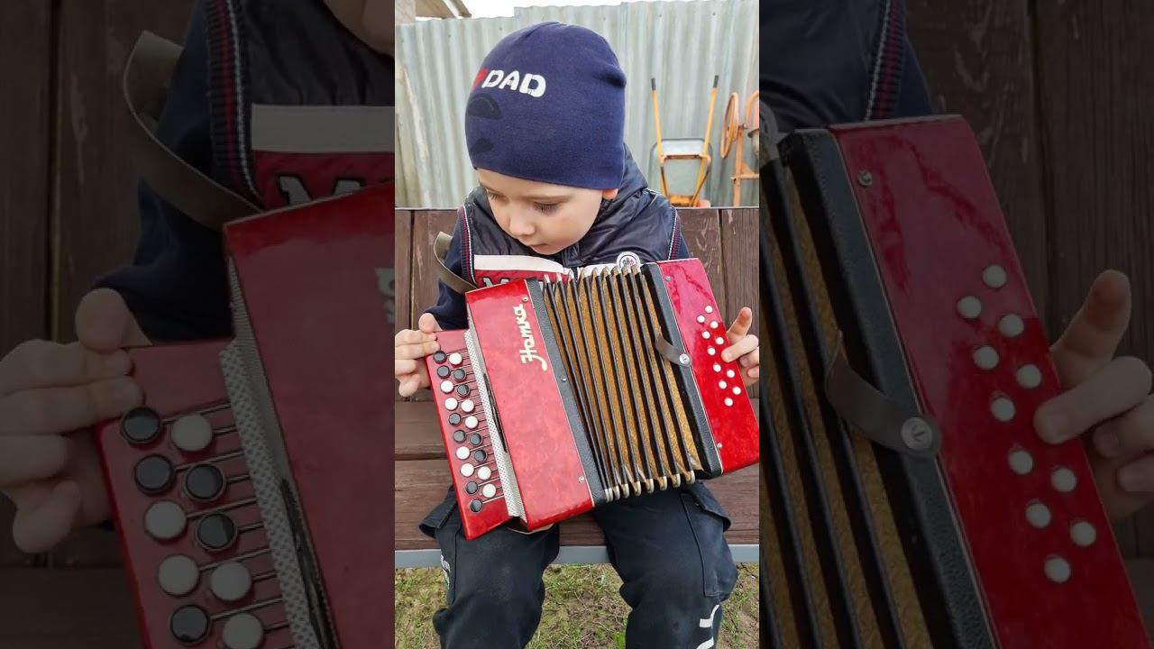 Гармошка Нотка. Детская гармонь#shorts смотреть онлайн