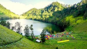 Граждане мира