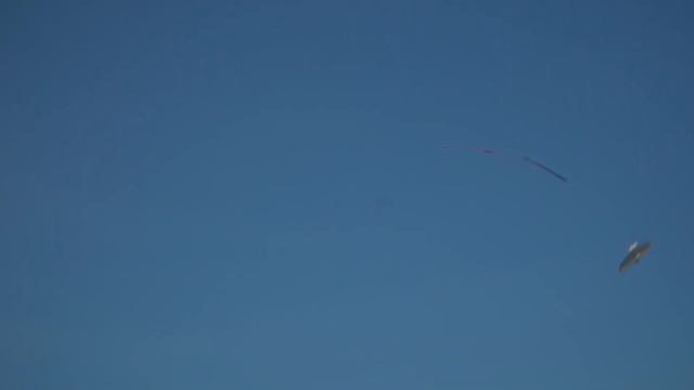 Этап кубка мира авиамоделей F-2D 