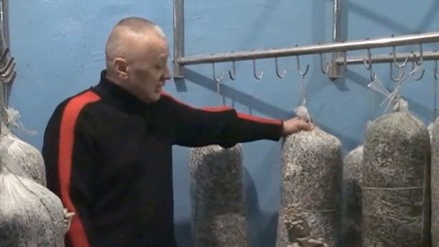 Грибонарий в Кушнаренковском сельскохозяйственном колледже смотреть онлайн