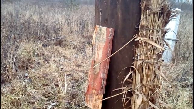 Подготовка колод с пчёлами к зиме 2018г. Колодное пчеловодство смотреть онлайн