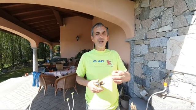 Parliamo Di Gerani In Diretta Dal Mio Giardino смотреть онлайн