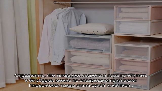 Как узнать, созрела ли тыква? смотреть онлайн