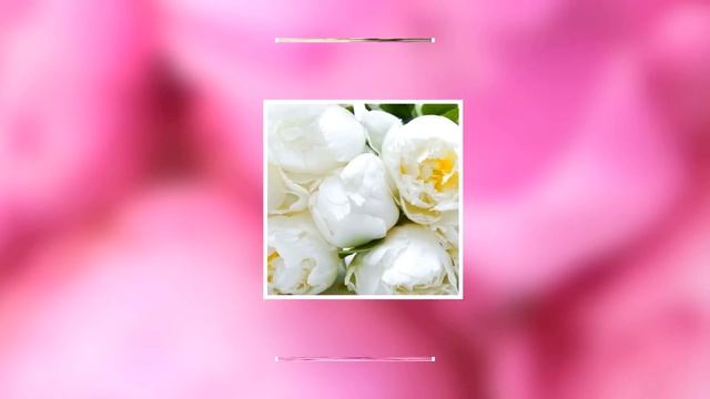 Стили для Proshow Produсer в подарок! 619 стилей! смотреть онлайн