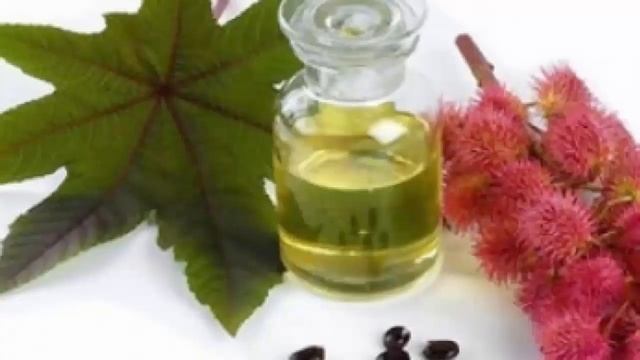 Как использовать касторовое масло для волос. Самые эффективные рецепты масок. смотреть онлайн