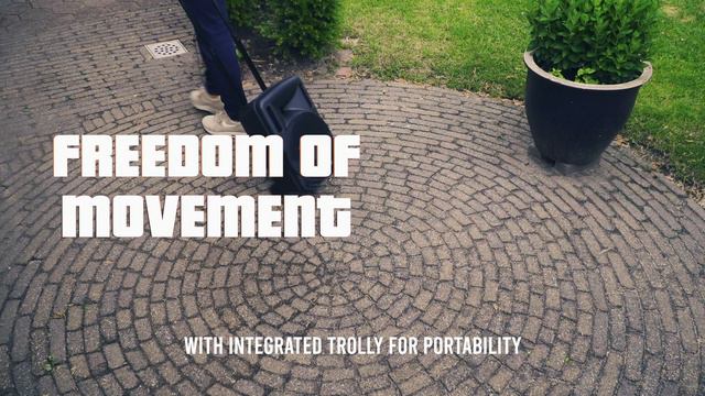 Fenton FT10LED karaoke speaker 450W 10" met LED verlichting смотреть онлайн