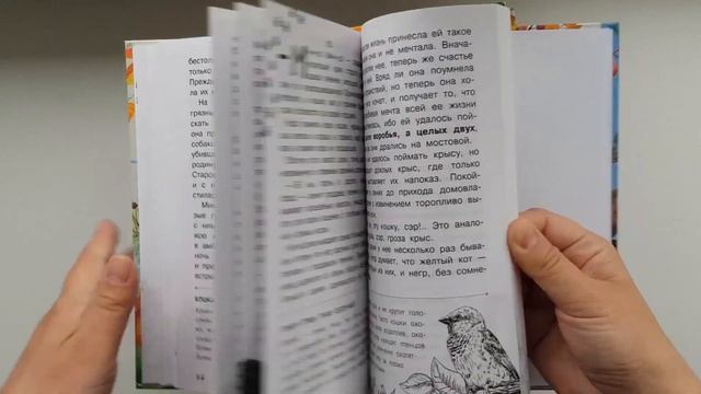 Почемучкины сказки. Самые лучшие рассказы о живой природе. Первые книжки о животных. "Аванта" смотреть онлайн