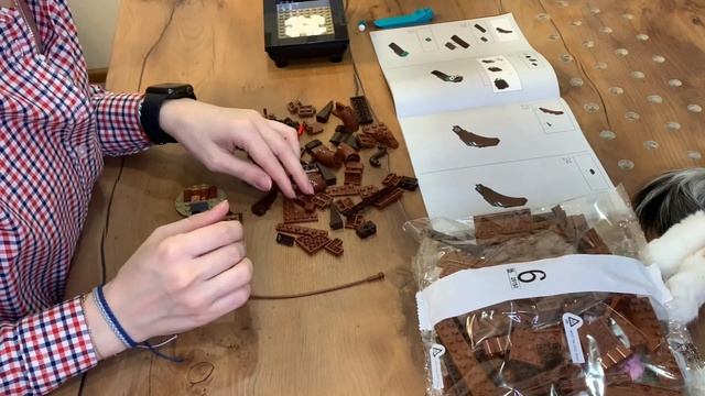 Обзор Lego Бонсай 10281 смотреть онлайн
