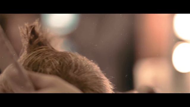 💈BARABAS💈 Первый концептуальный мужской салон смотреть онлайн