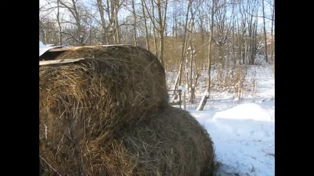 Сено в рулоне тянем лебёдкой! Реальный способ.