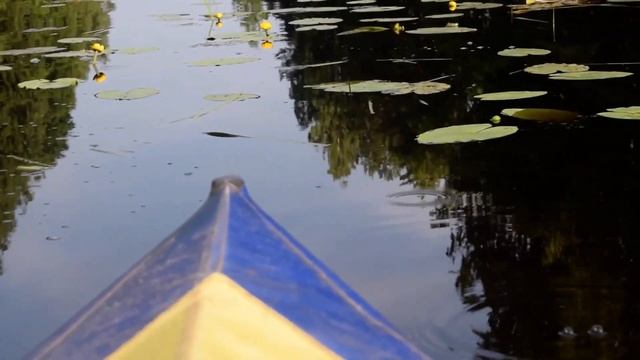 Река Немда, Костромская область смотреть онлайн