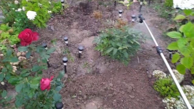 ОДИН ДЕНЬ ИЗ ДАЧНОЙ ЖИЗНИ | КАКОЙ НАС ЖДЁТ УРОЖАЙ | АККУМУЛЯТОРНЫЙ ОПРЫСКИВАТЕЛЬ смотреть онлайн