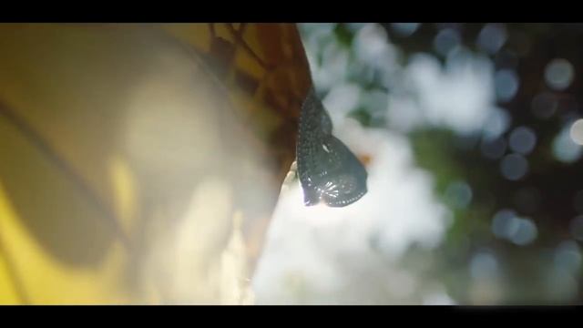 КАК ЛЕТИТ ВРЕМЯ ВО ВСЕЛЕННОЙ смотреть онлайн