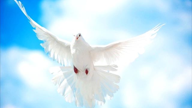 Увеличится беззаконие и мера его будет расти.  США Сакраменто 2021