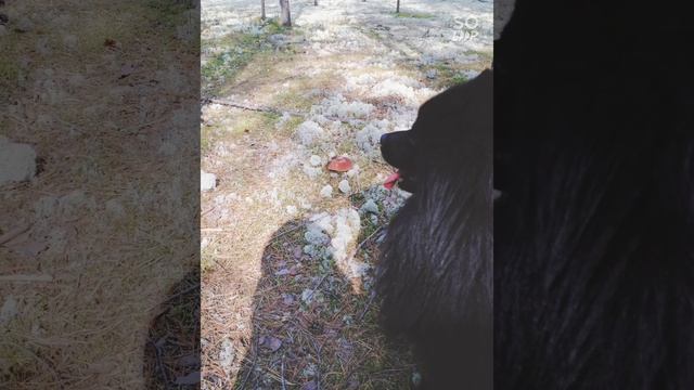 Soloop_20220228210442.mp4