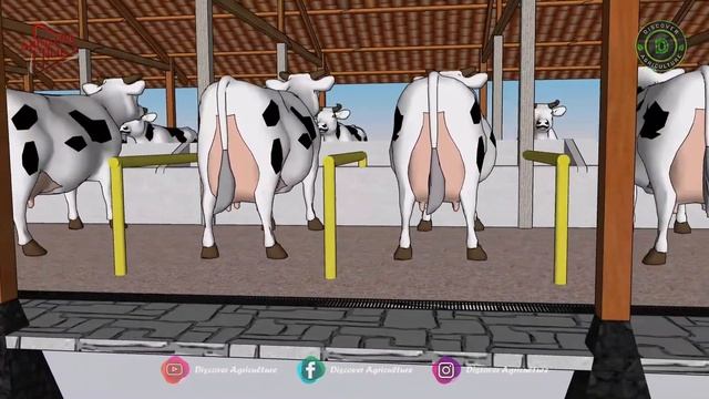 Simple, Best, and Low Cost DAIRY FARM Shed Design for 16 Cows | Amazing COW FARMING Shed смотреть онлайн