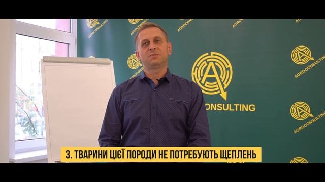 Екзотична порода свиней - угорська мангалиця смотреть онлайн
