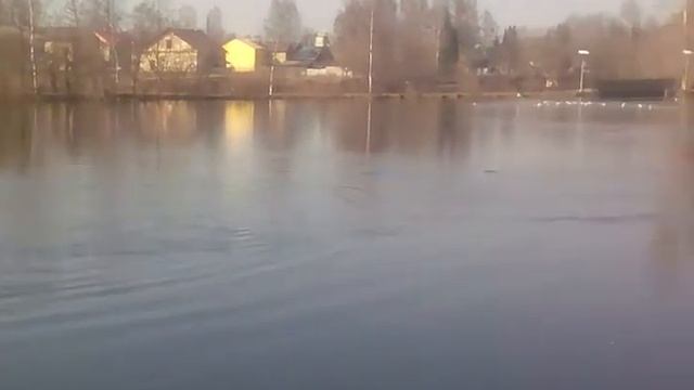 Возвращение перелётных птиц смотреть онлайн