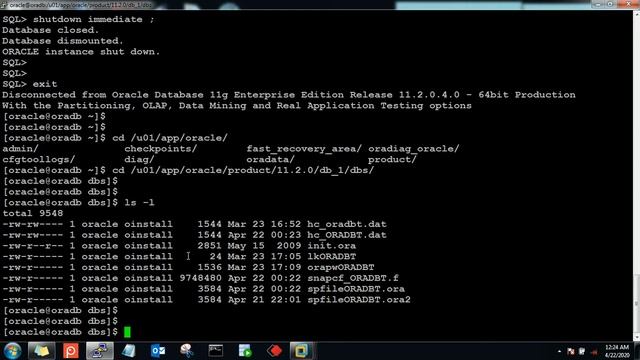 oracle 11g backup and restore spfile through rman смотреть онлайн