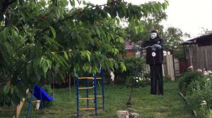 Пугало от птиц  для спасения урожая черешни