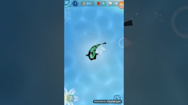 Обзор игры Zen Koi 2 смотреть онлайн
